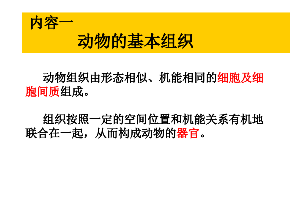 试验一动物的基本组织