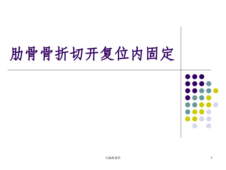 肋骨骨折切开复位内固定PPT课件