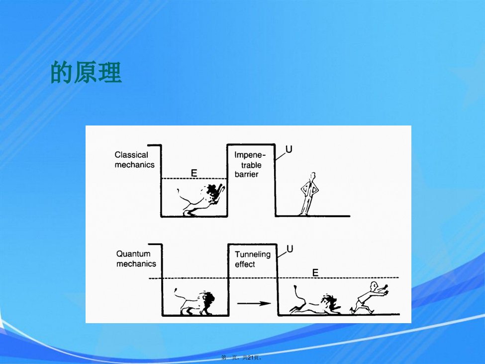 扫描隧道显微镜stm