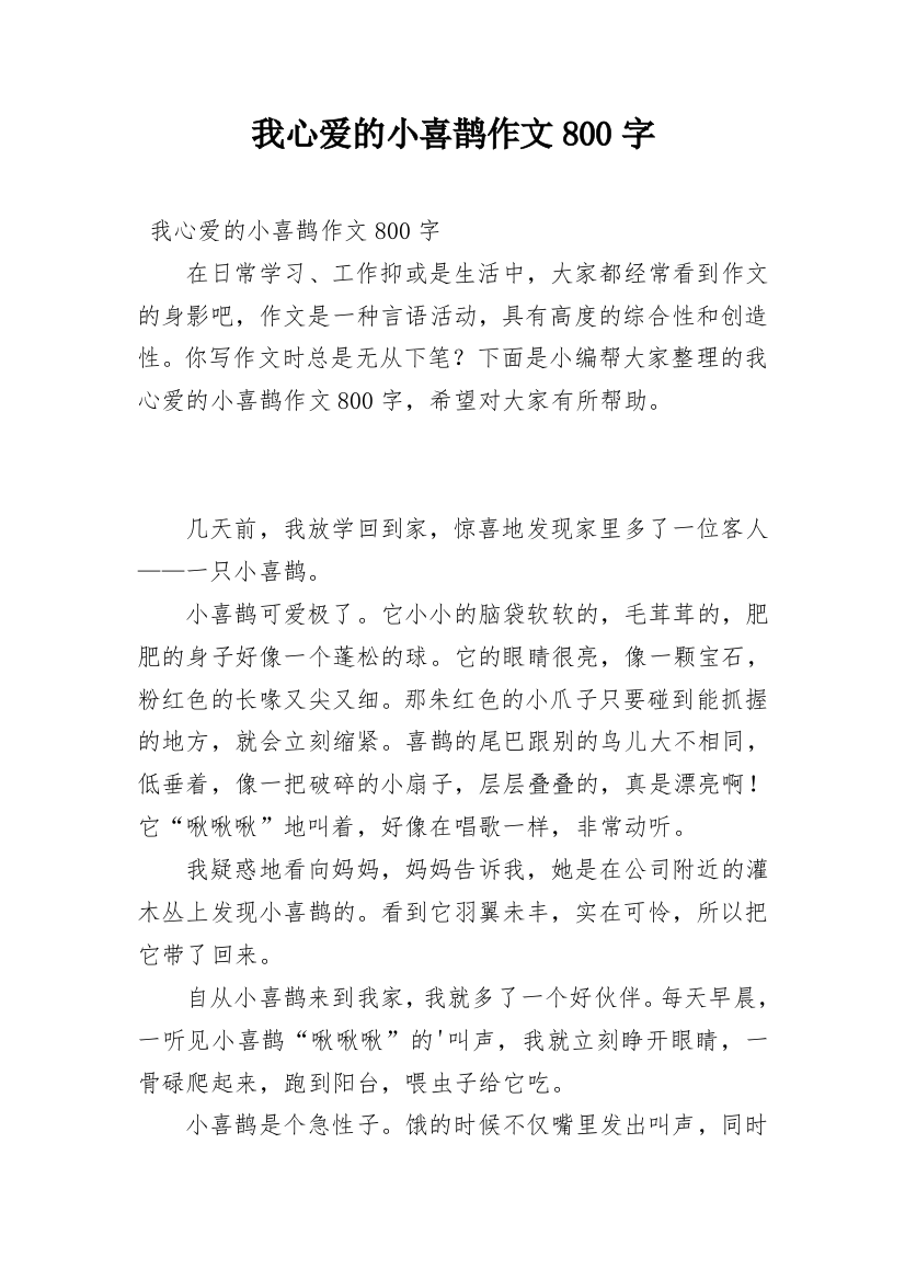 我心爱的小喜鹊作文800字