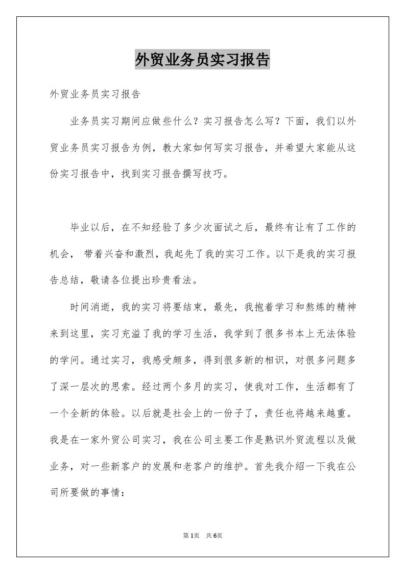 外贸业务员实习报告例文2