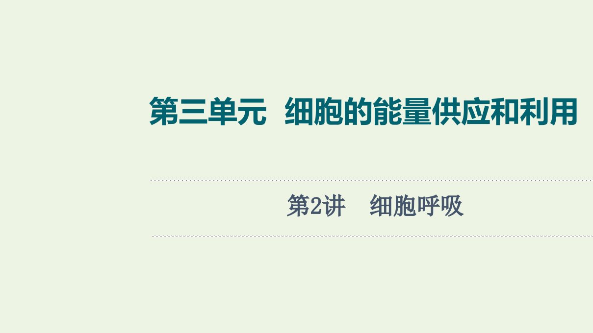 江苏专用版高考生物一轮复习第3单元细胞的能量供应和利用第2讲细胞呼吸课件