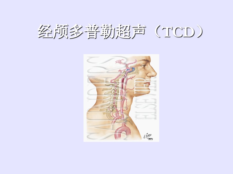 经颅多普勒TCD讲解