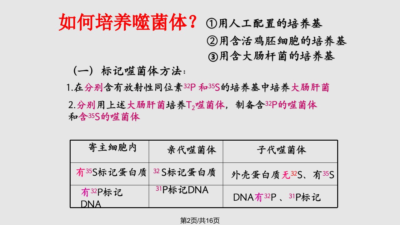 DNA粗提取与鉴定