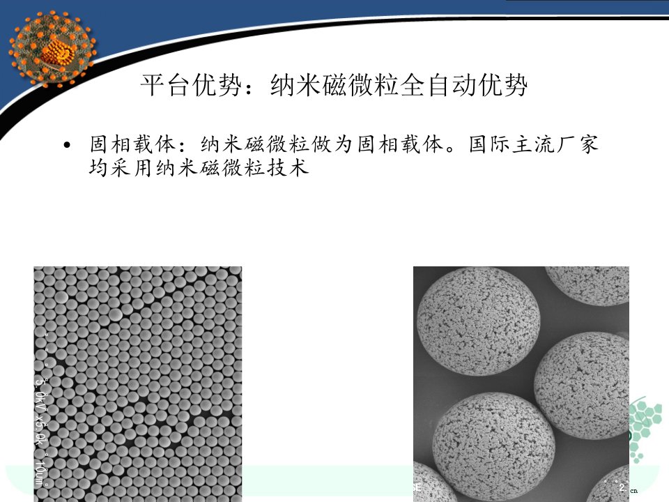 最新安图磁微粒术前四项PPT课件