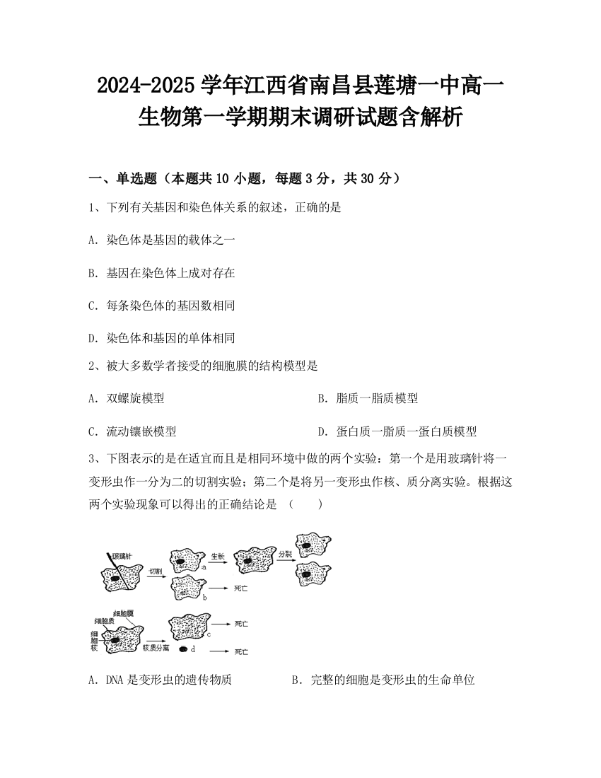 2024-2025学年江西省南昌县莲塘一中高一生物第一学期期末调研试题含解析