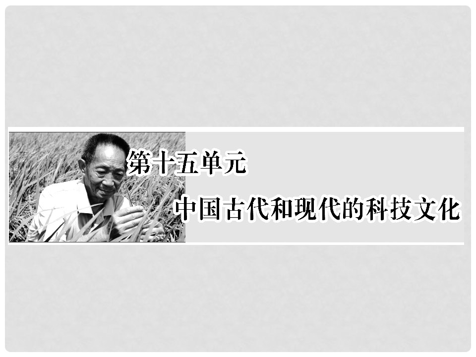 高考历史总复习