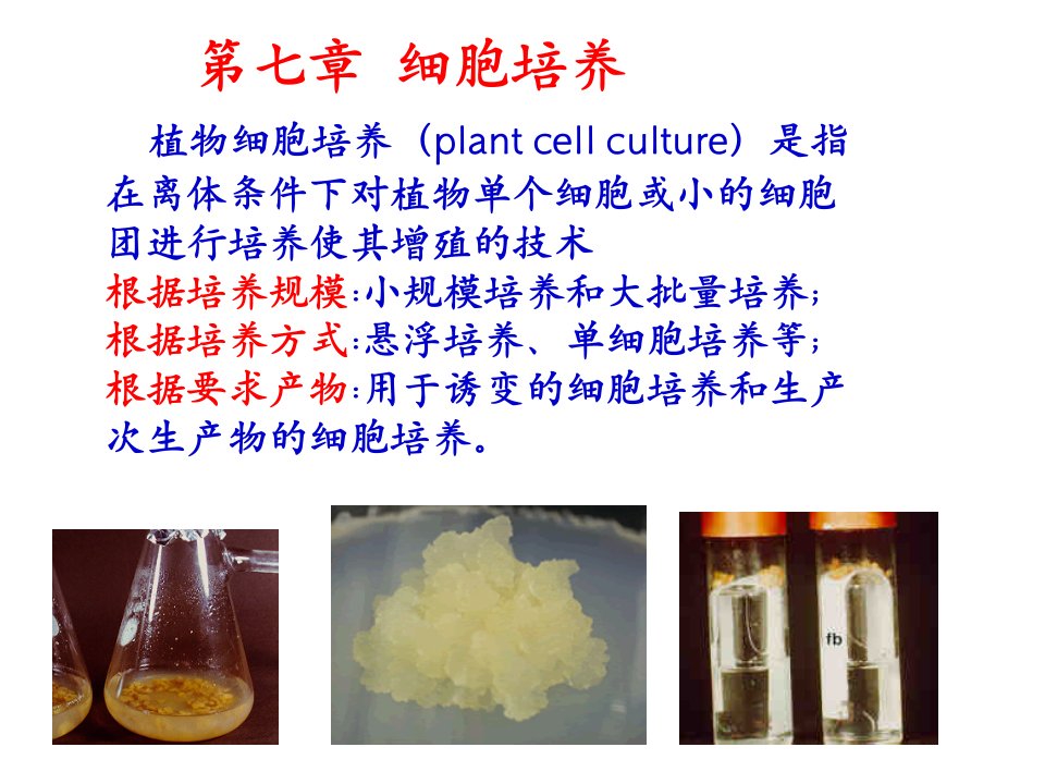 植物组织培养六