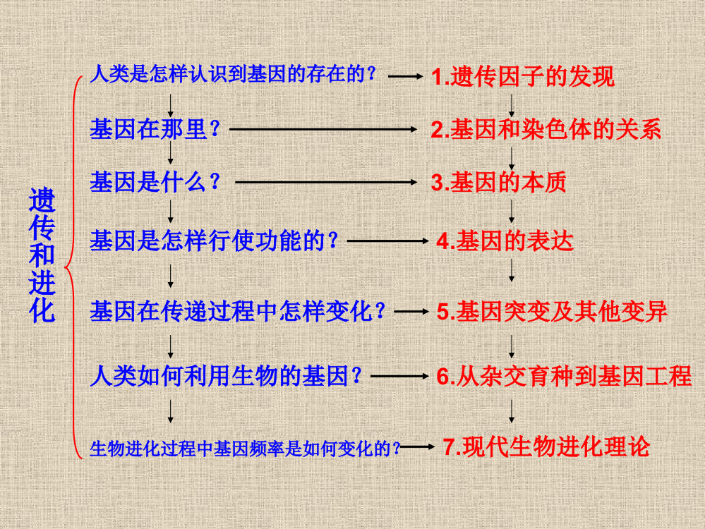 高中生物11孟德尔的豌豆杂交实验新人教版必修