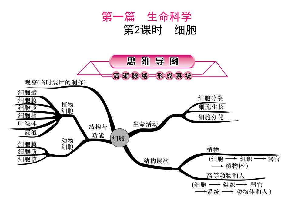 浙江省中考科学第一轮总复习