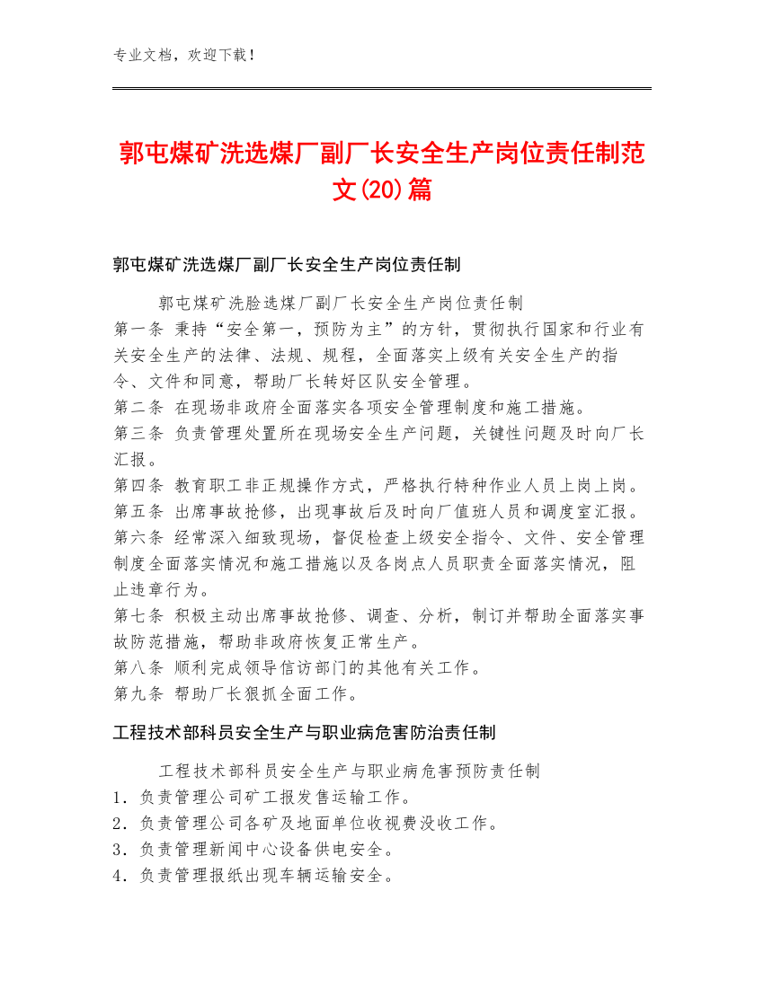 郭屯煤矿洗选煤厂副厂长安全生产岗位责任制范文(20)篇