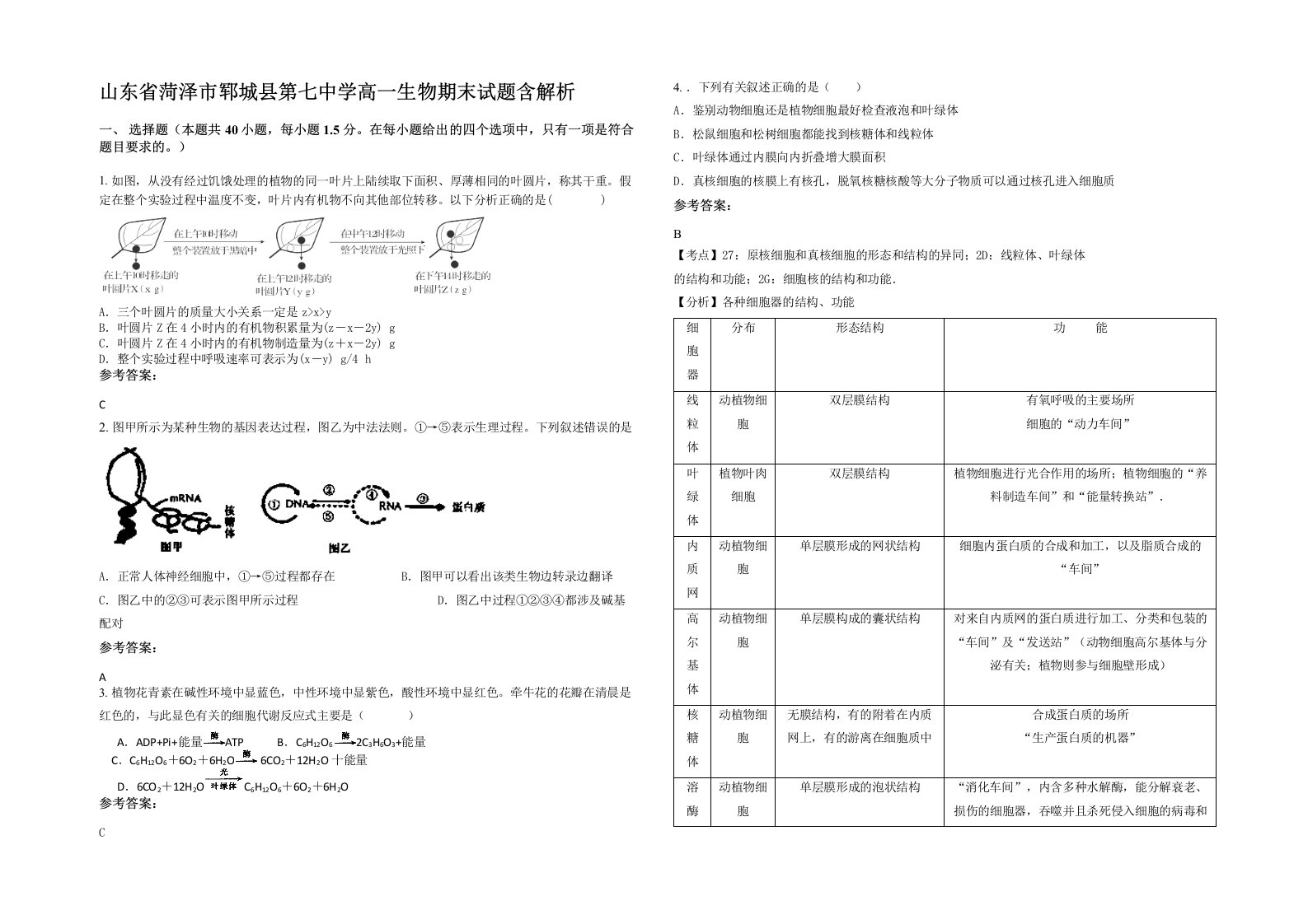 山东省菏泽市郓城县第七中学高一生物期末试题含解析