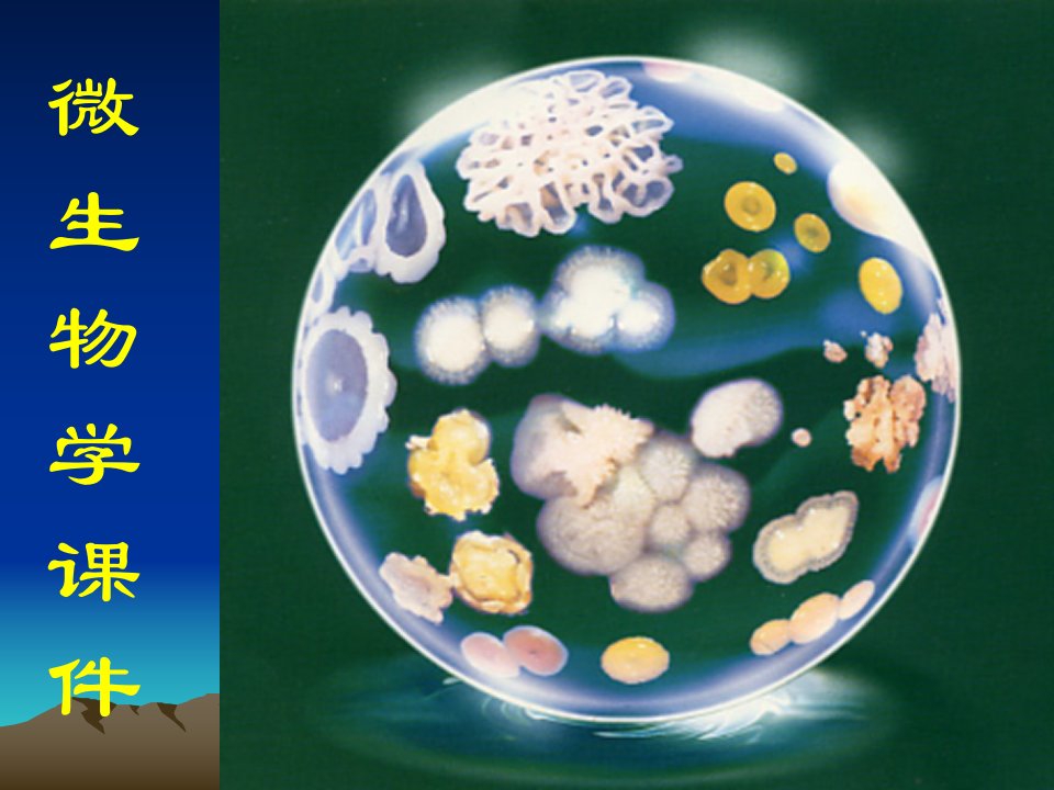 微生物学章节件