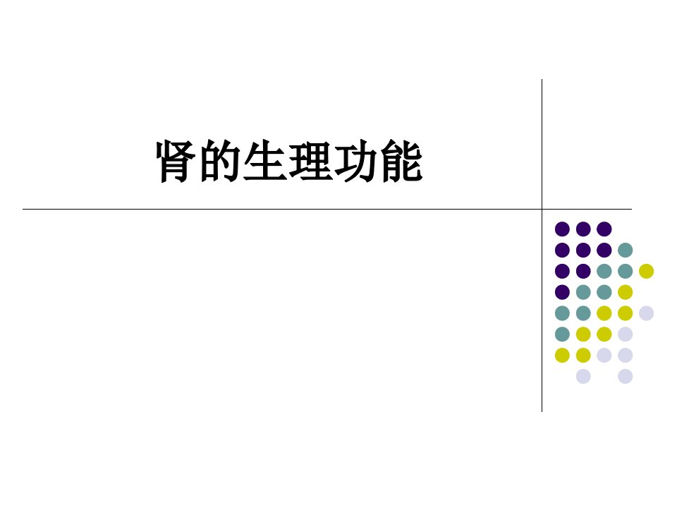 肾的生理功能PPT课件