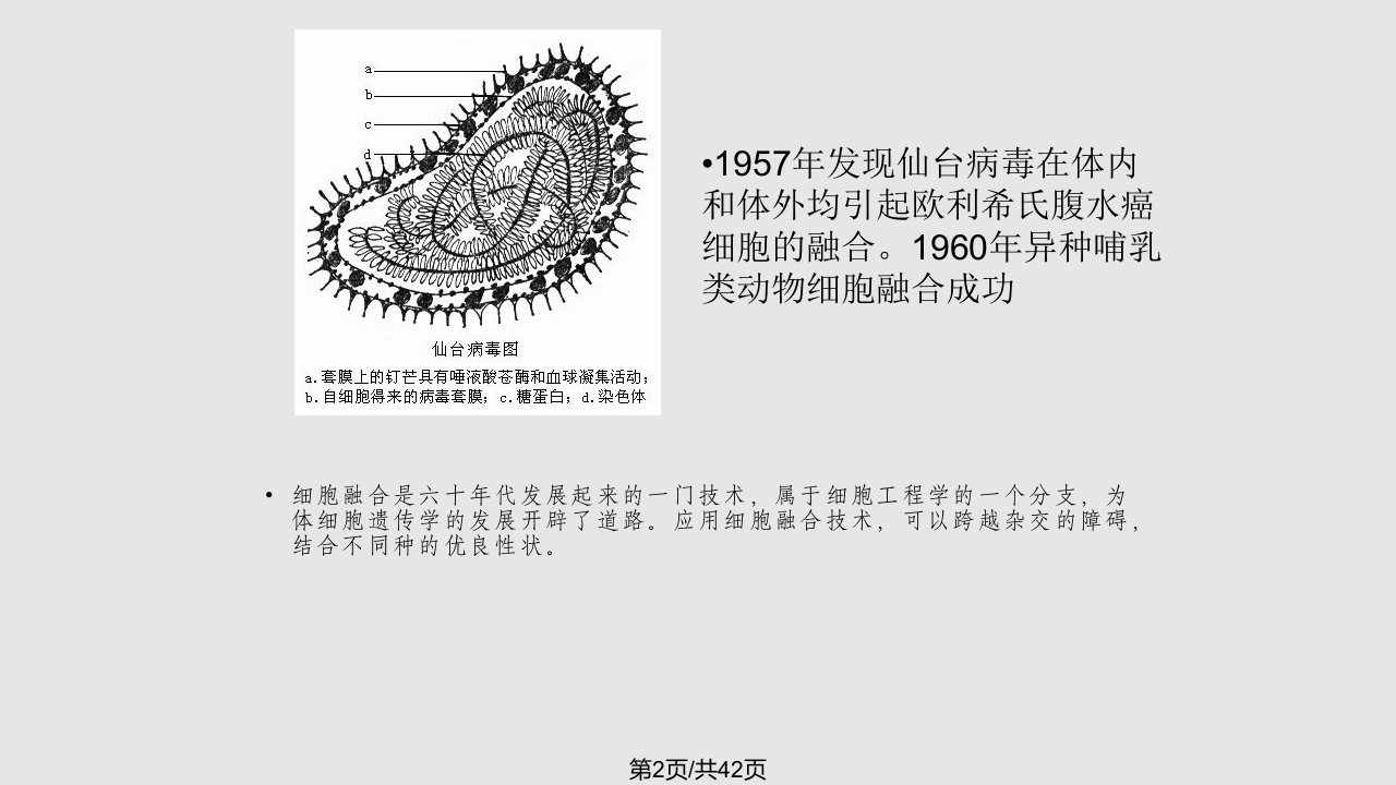 水产动物育种学细胞融合与核移植