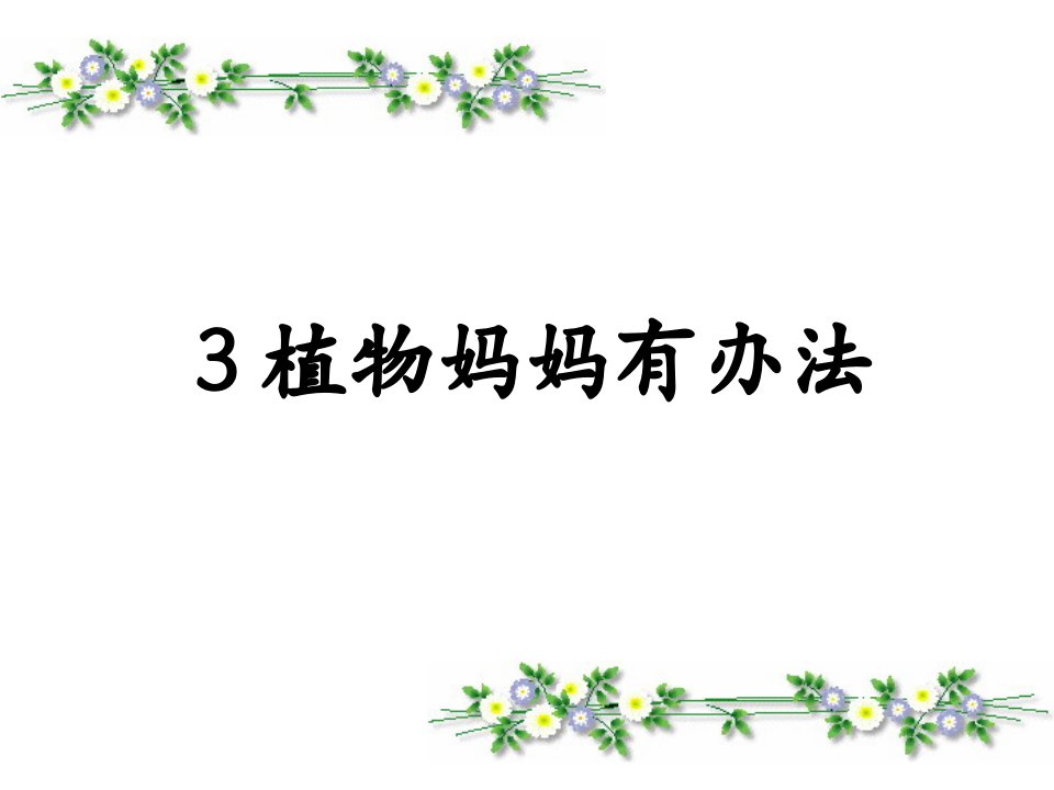 3.植物妈妈有办法课件