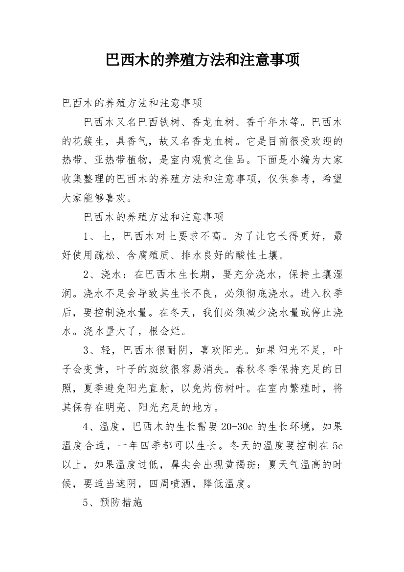 巴西木的养殖方法和注意事项