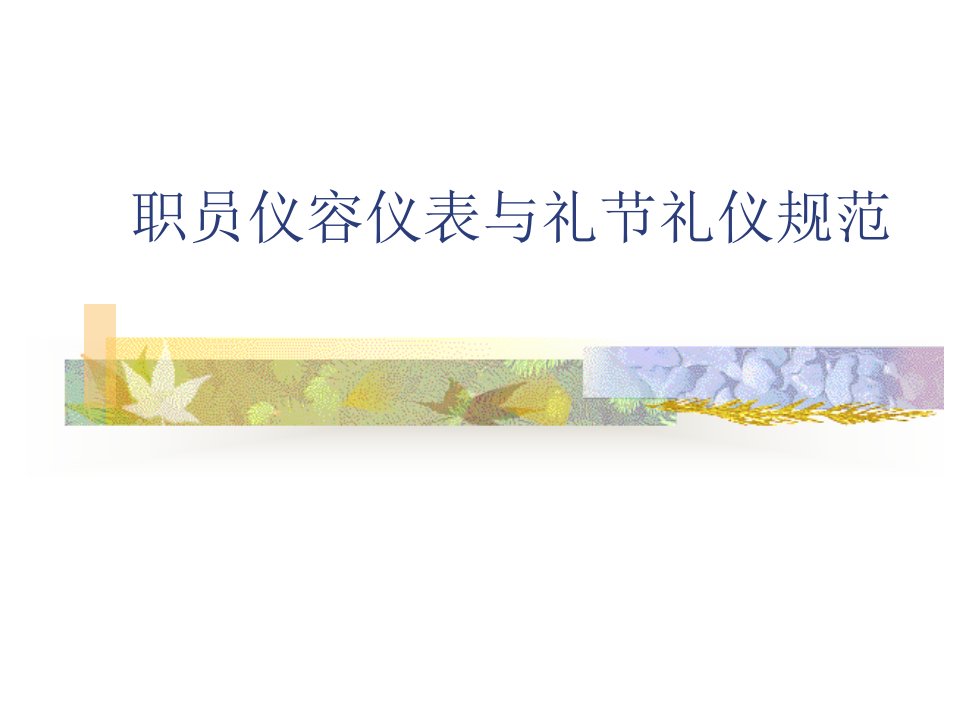 职员仪容仪表与礼节礼仪规范(ppt19)-商务礼仪