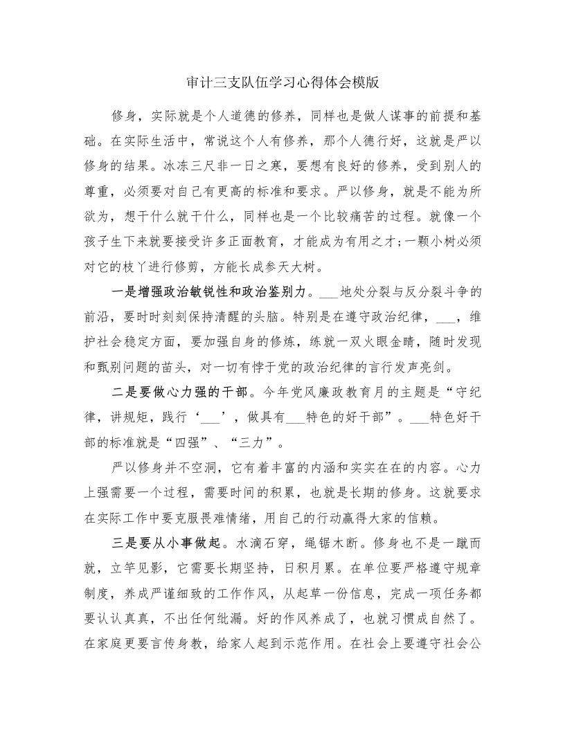 审计三支队伍学习心得体会模版