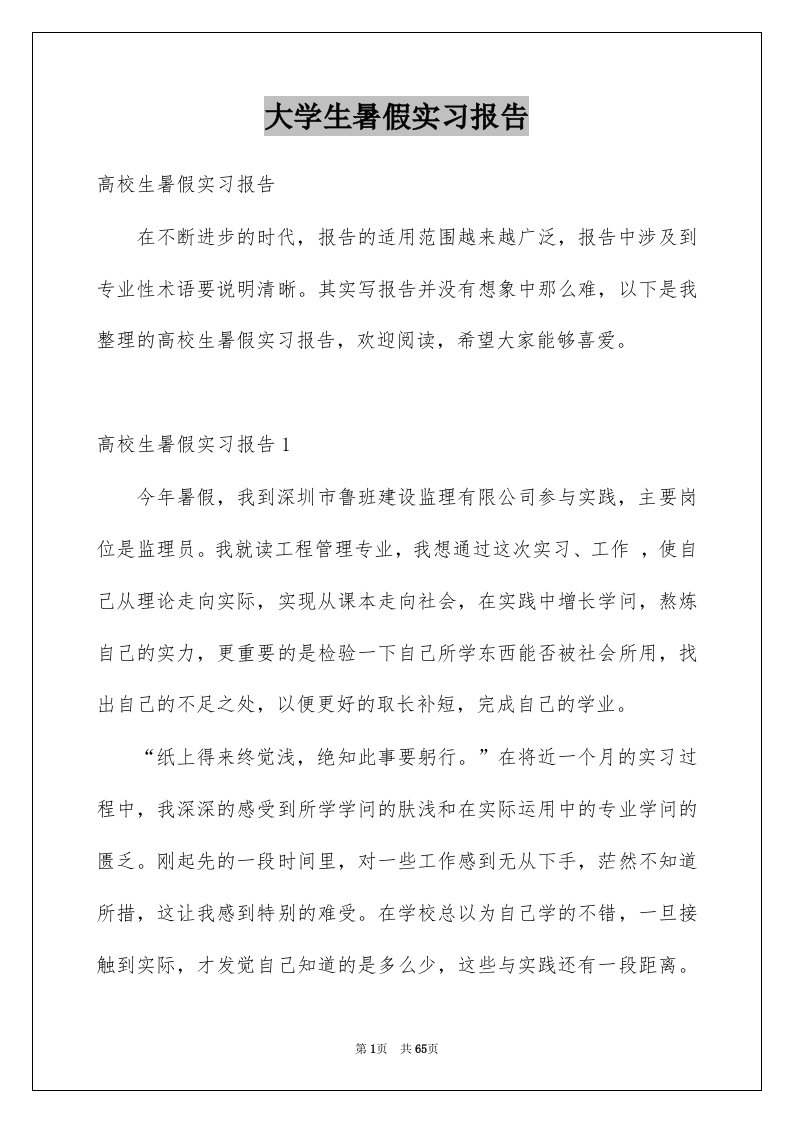 大学生暑假实习报告范本5