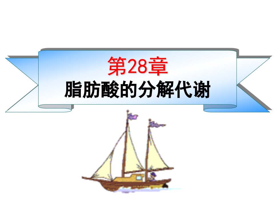 《脂类的分解代谢》PPT课件