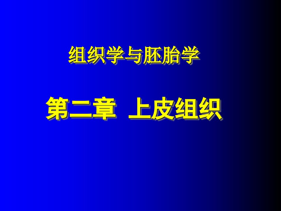 组织胚胎学课件-上皮组织