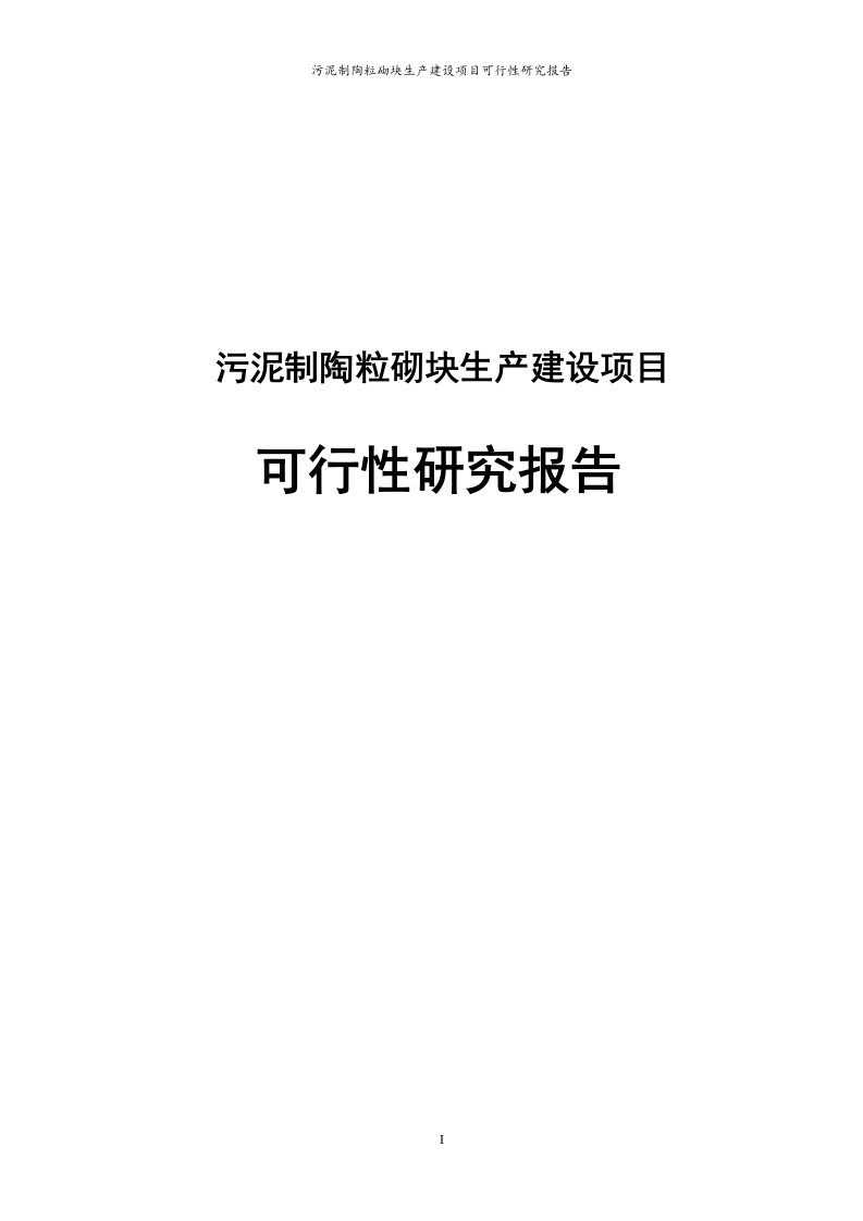 处理污泥制陶粒砌块生产项目可行性研究报告