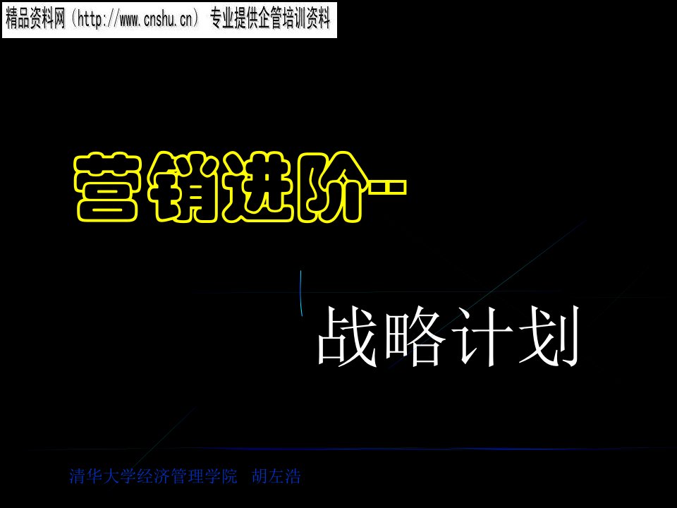 [精选]营销战略与营销计划