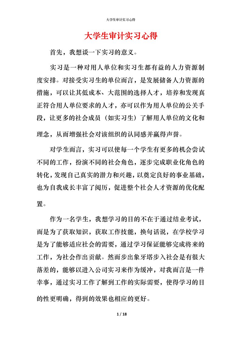 精编大学生审计实习心得