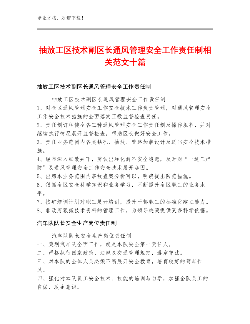 抽放工区技术副区长通风管理安全工作责任制范文十篇