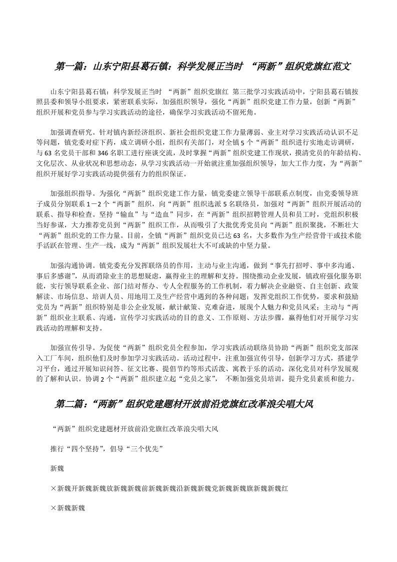 山东宁阳县葛石镇：科学发展正当时“两新”组织党旗红范文[修改版]