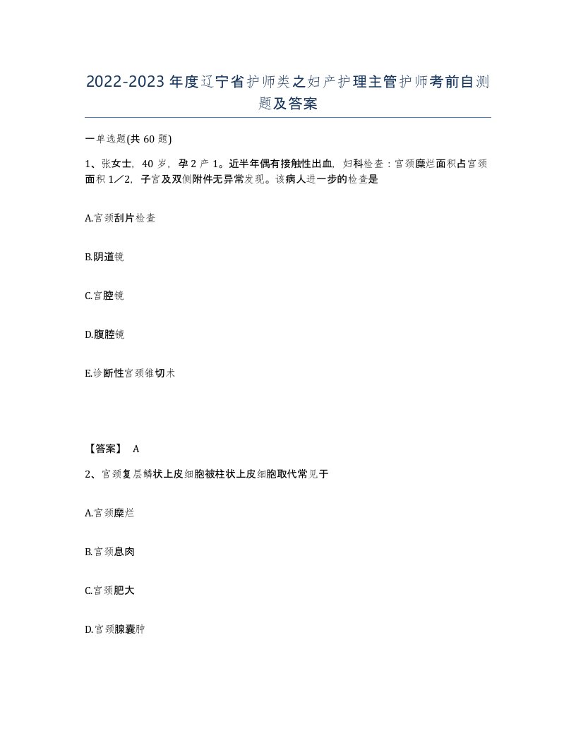 2022-2023年度辽宁省护师类之妇产护理主管护师考前自测题及答案