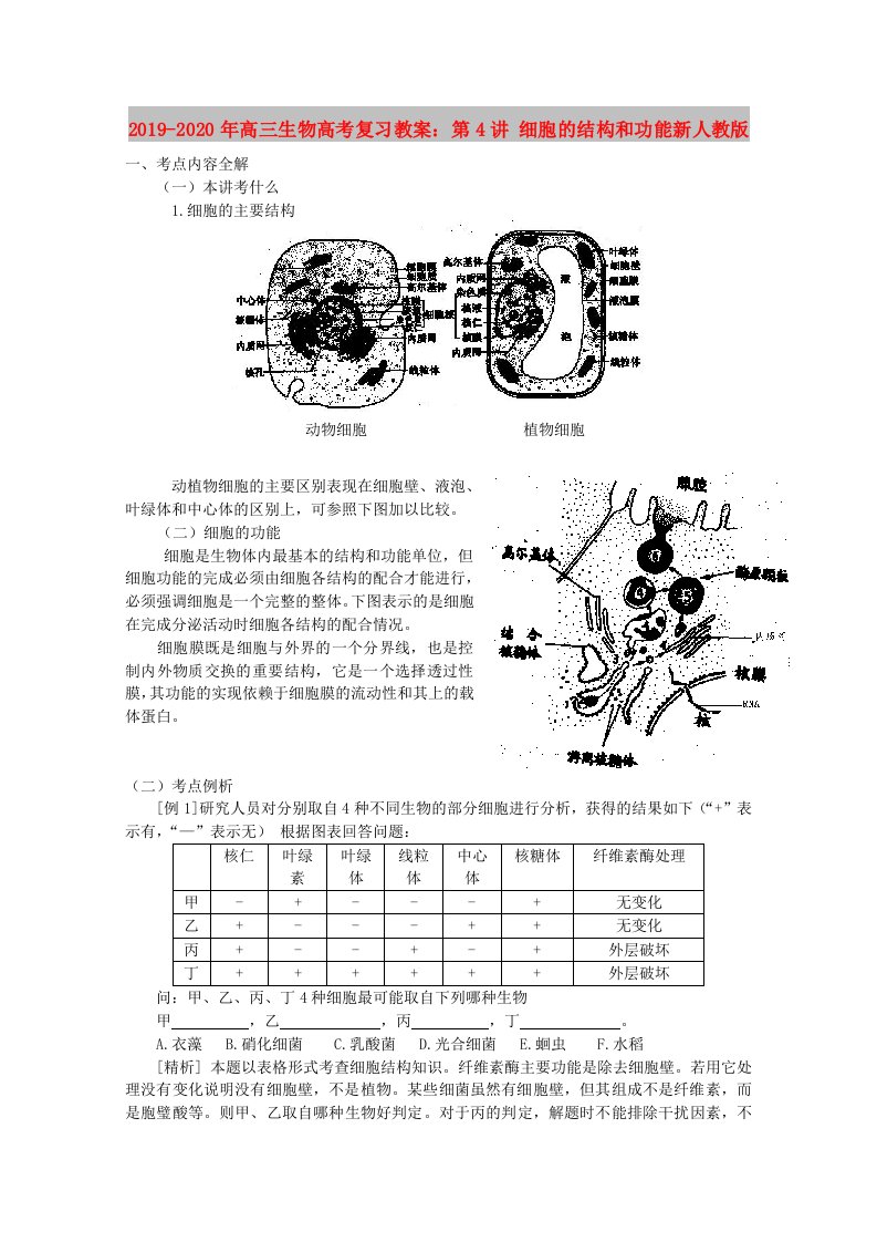 2019-2020年高三生物高考复习教案：第4讲