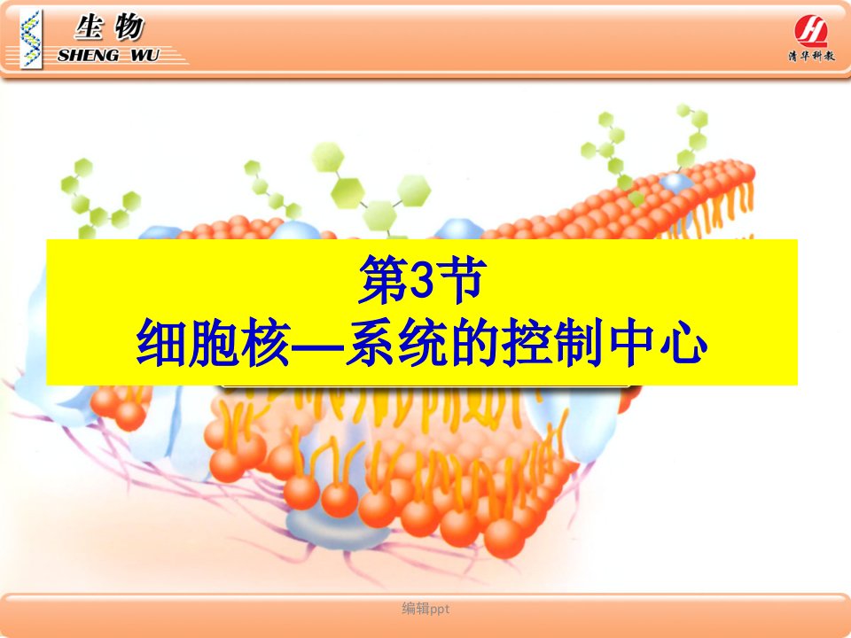 生物学必修3.3细胞核系统的控制中心