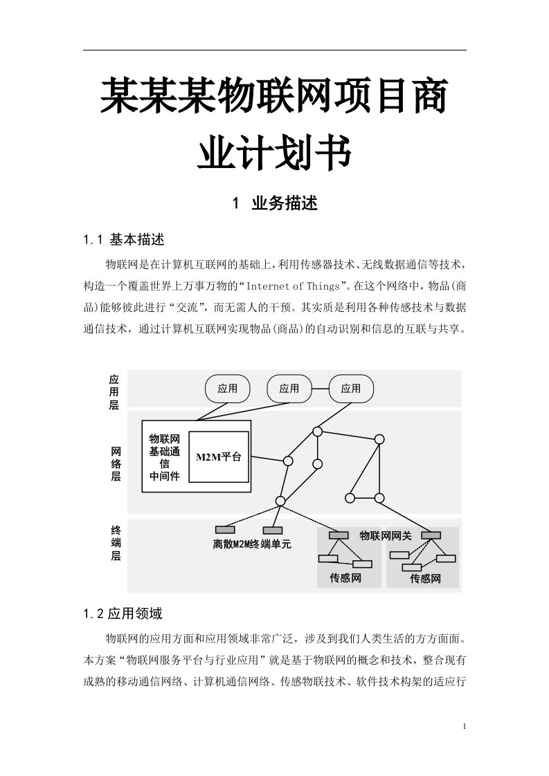 某某某物联网项目商业计划书