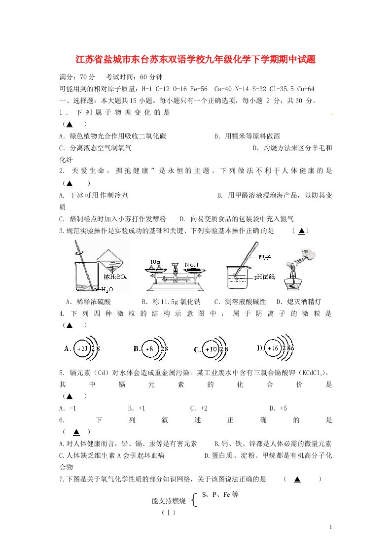 江苏省盐城市东台苏东双语学校九级化学下学期期中试题