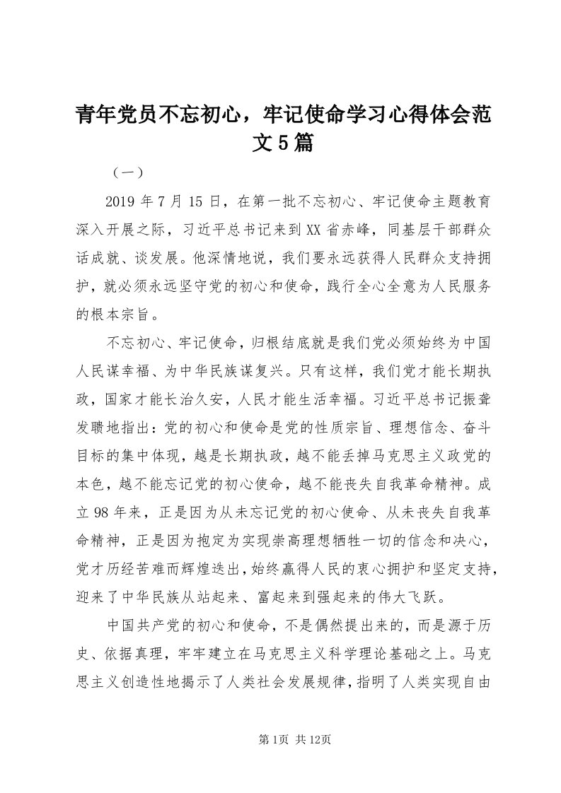 5青年党员不忘初心，牢记使命学习心得体会范文5篇