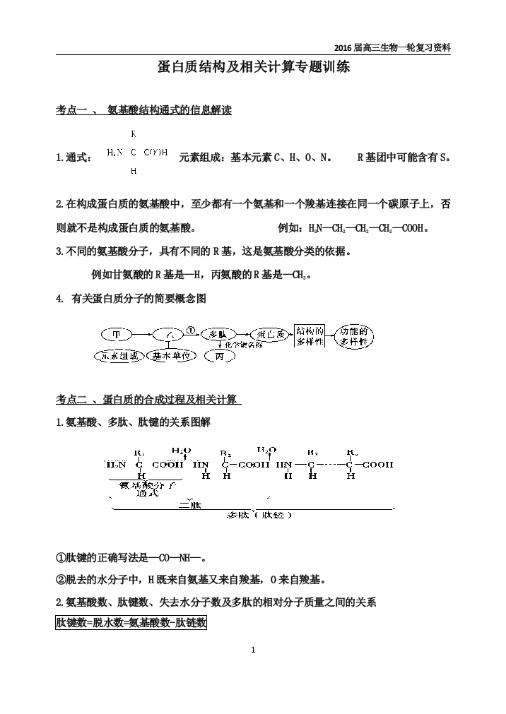 蛋白质结构及相关计算专题训练