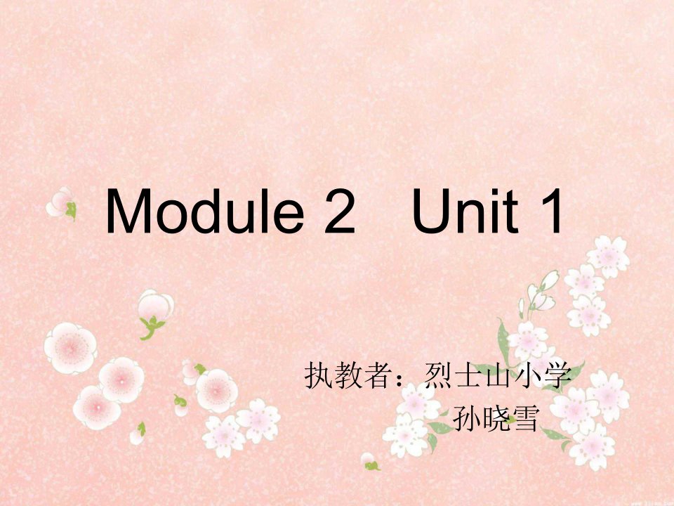 module2unit1thereisabigchinatowninn课件小学英语外研社版一年级起点六年级上册