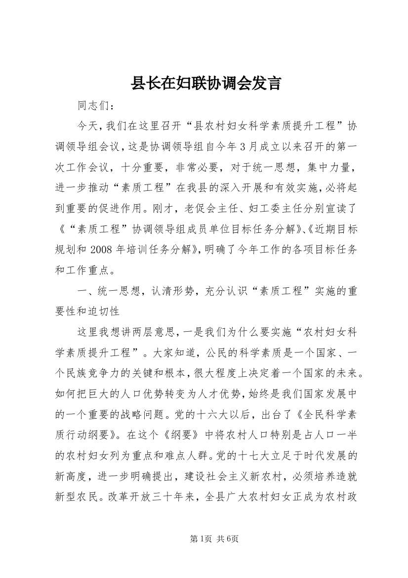 县长在妇联协调会发言