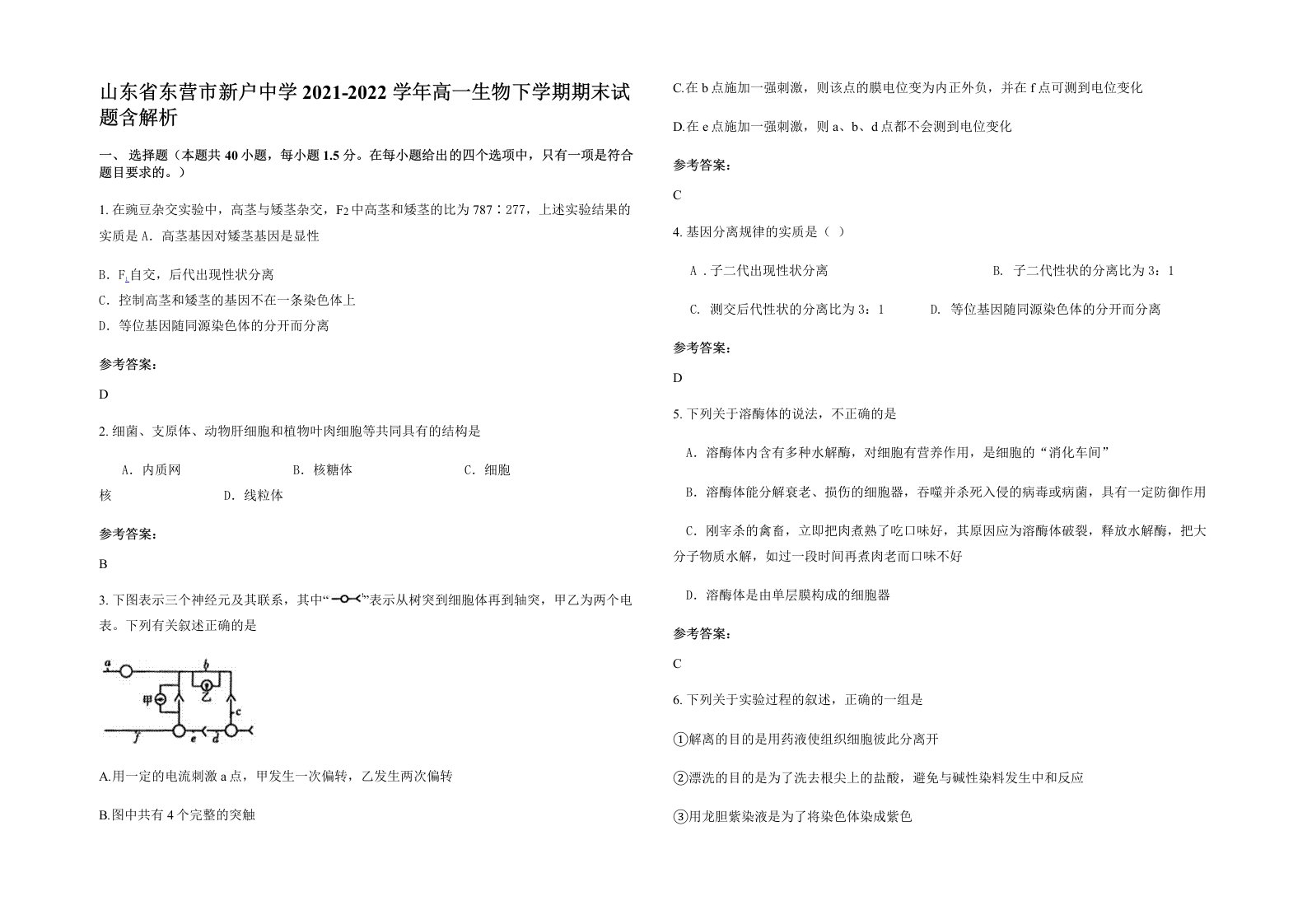 山东省东营市新户中学2021-2022学年高一生物下学期期末试题含解析