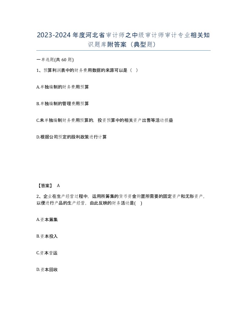 2023-2024年度河北省审计师之中级审计师审计专业相关知识题库附答案典型题