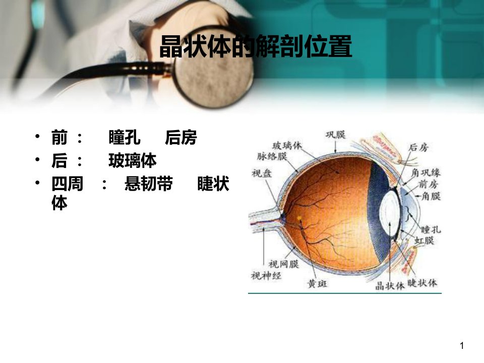 先天性白内障的诊治及护理医学PPT课件