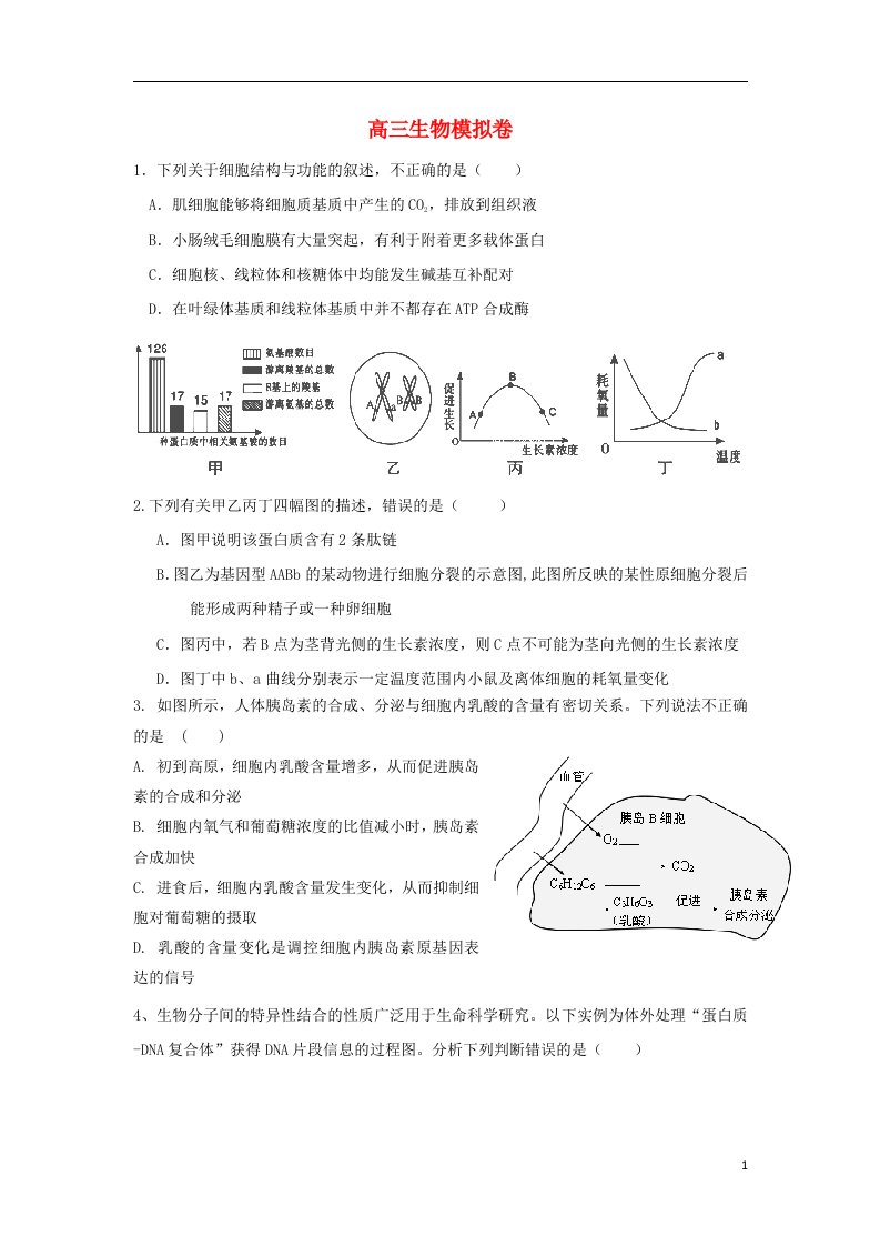 福建省漳州市华安一中高考生物模拟试题新人教版