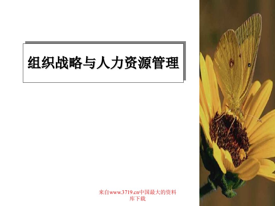 组织战略与人力资源管理(ppt32)-人力资源战略