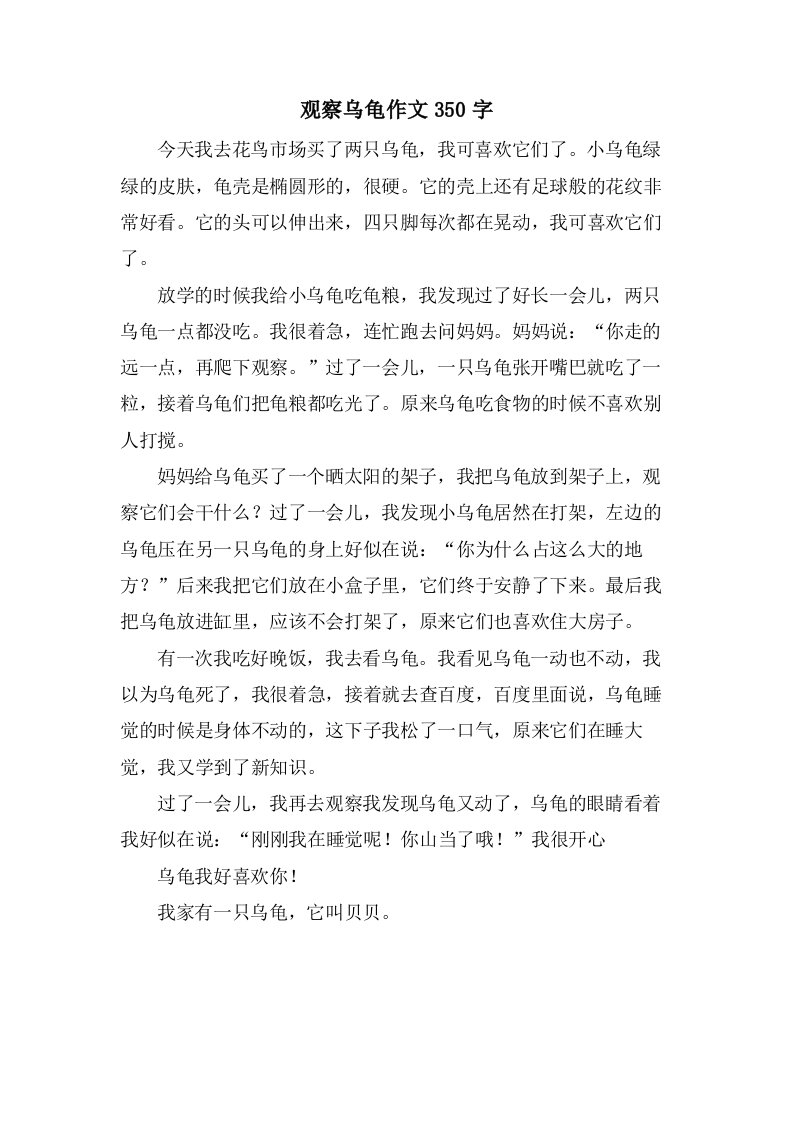 观察乌龟作文350字