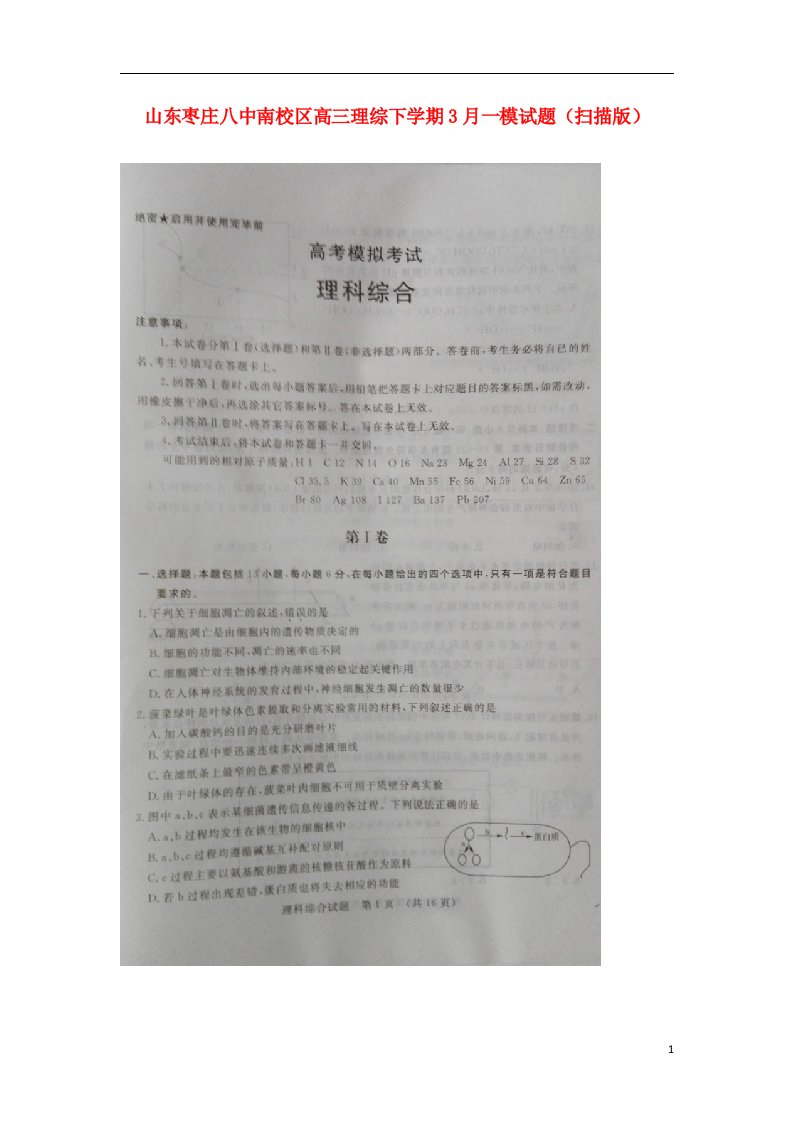 山东枣庄八中南校区高三理综下学期3月一模试题（扫描版）