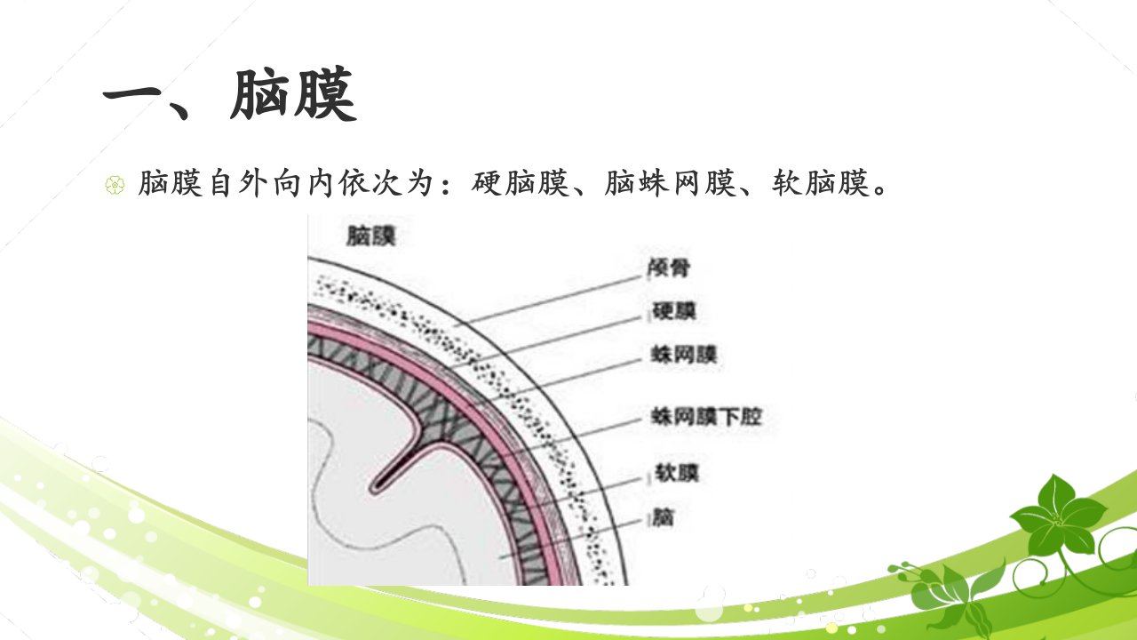 颅内出血的影像学诊断ppt课件