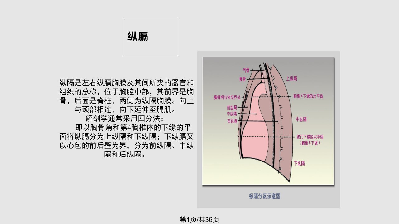 纵膈畸胎瘤PPT课件