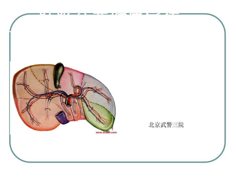 低频脉冲疗法北京乙肝治疗